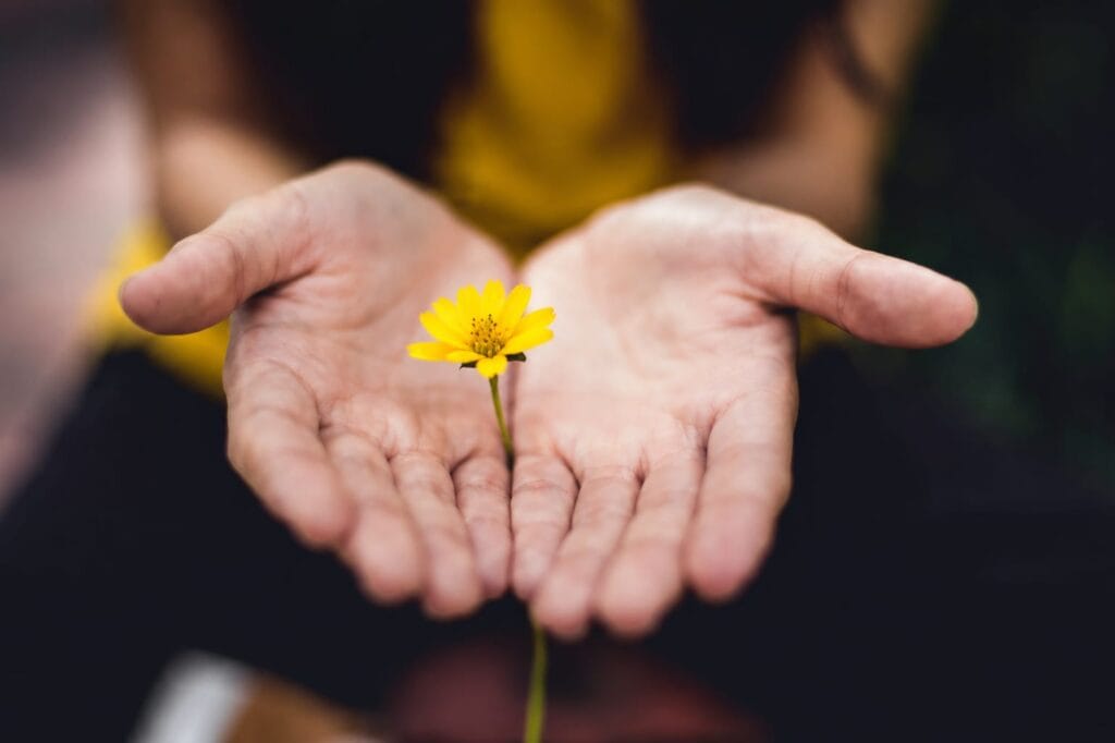 How to Heal Wounds Faster Complete Wound Care Guide